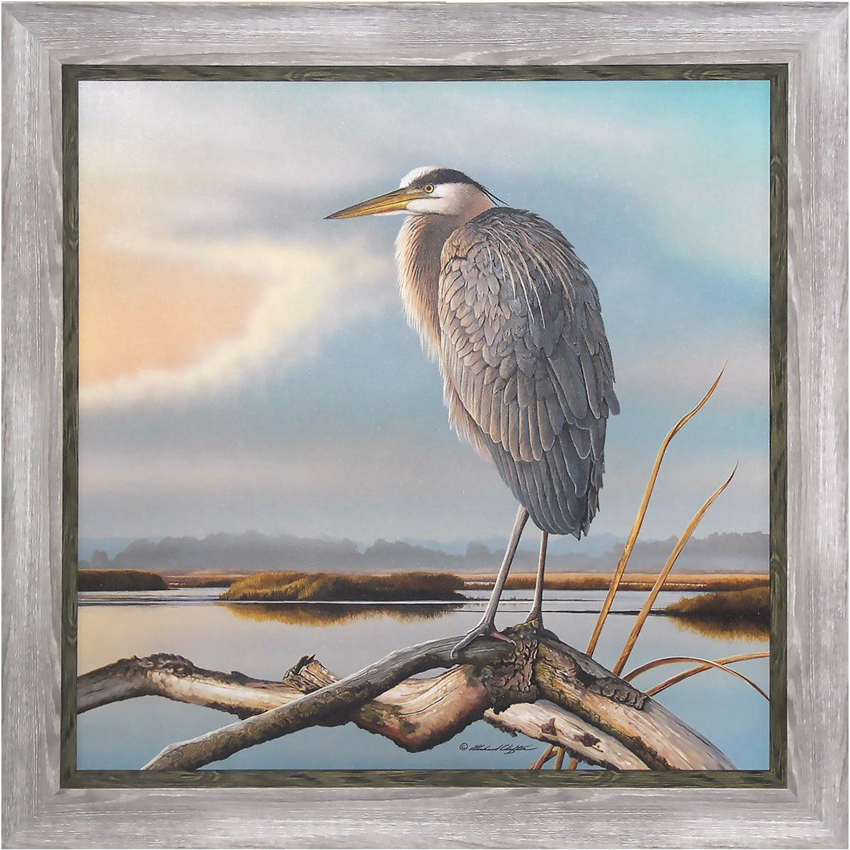 Marsh Watch Great Blue Heron by Richard Clifton - Framed Art