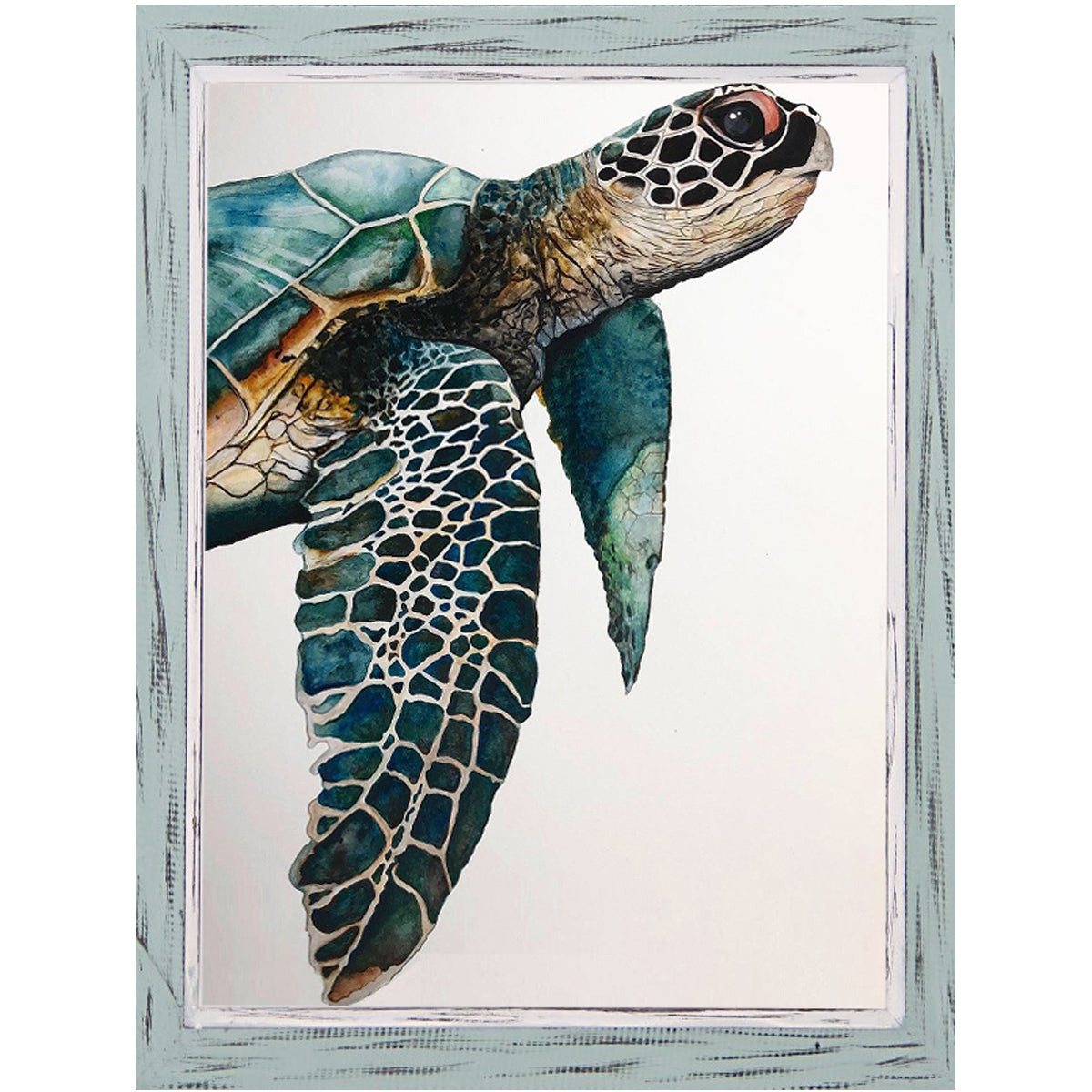 Great Sea Turtle by Jodi Hatfield - Framed Art