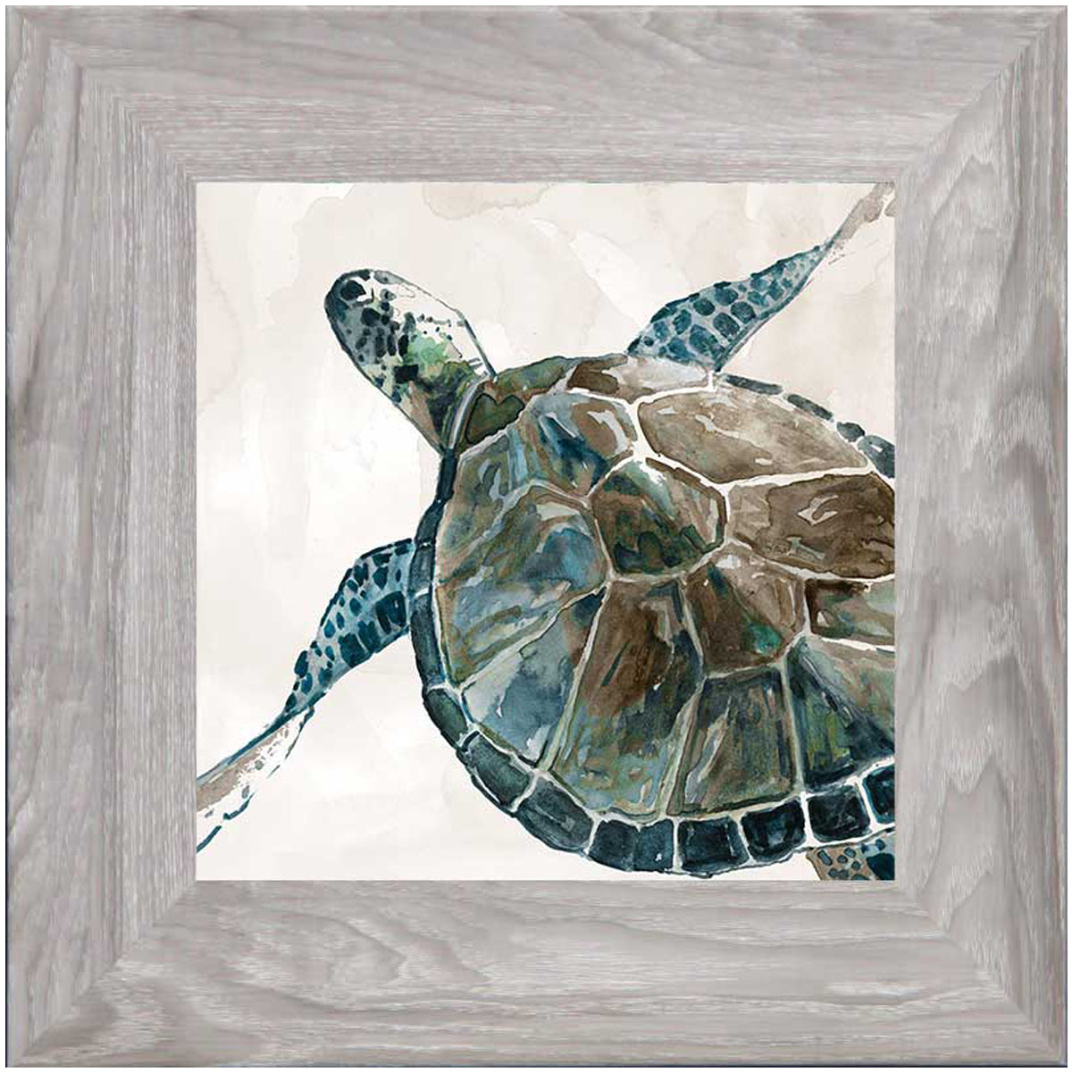 Neutral Sea Turtle I by Carol Robinson - Framed Art