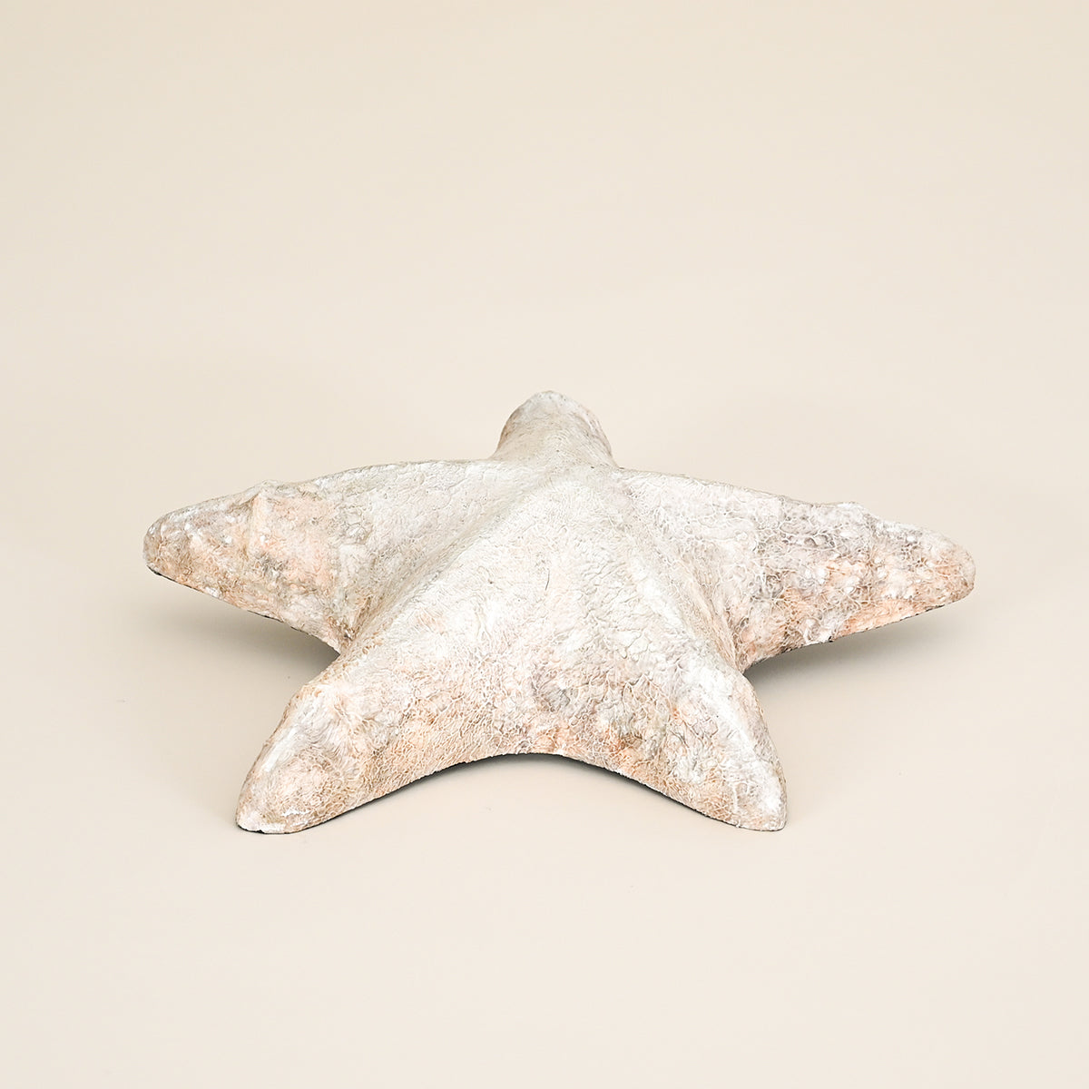 Wood Starfish, Large