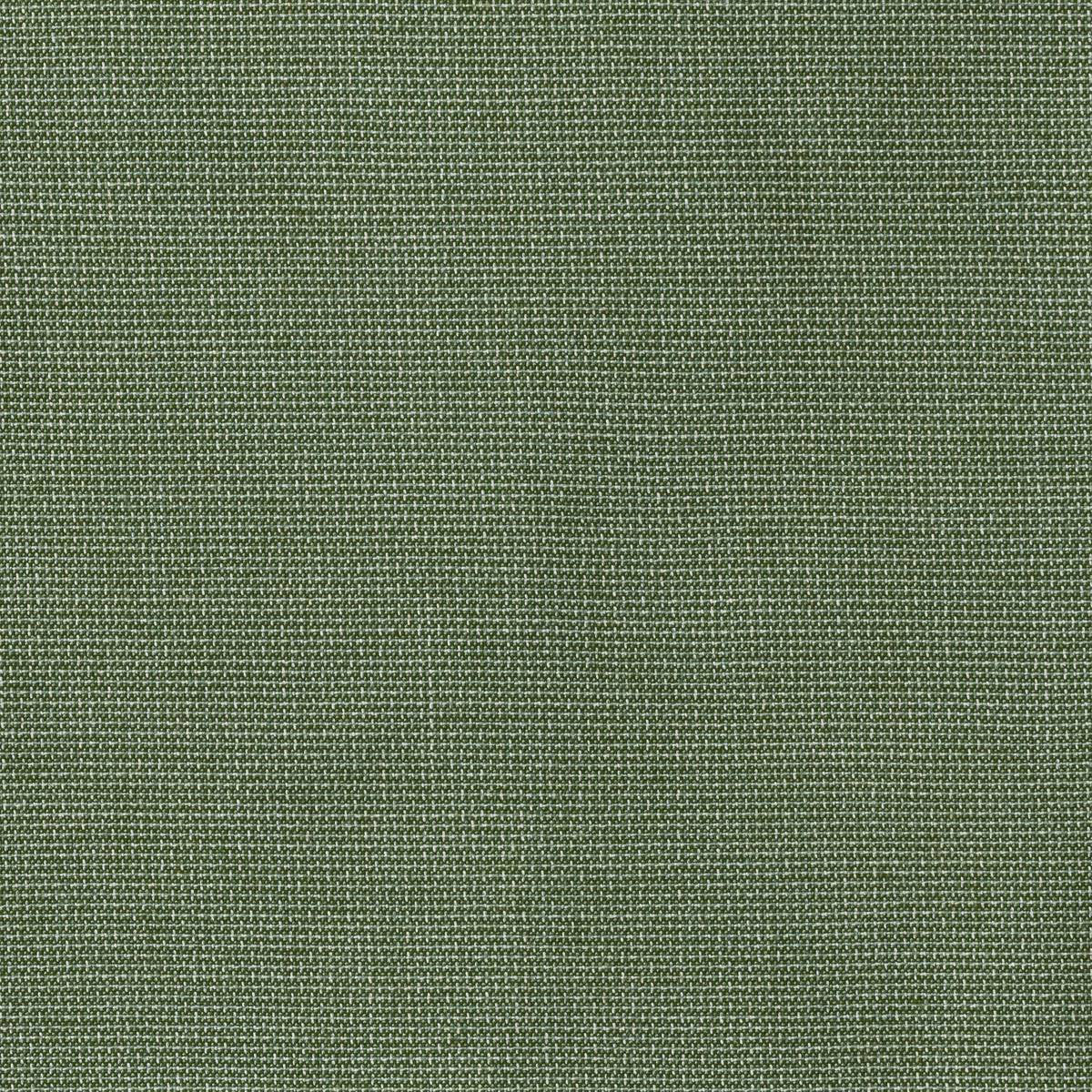 Outdoor Fabric - Bliss Aloe 4112