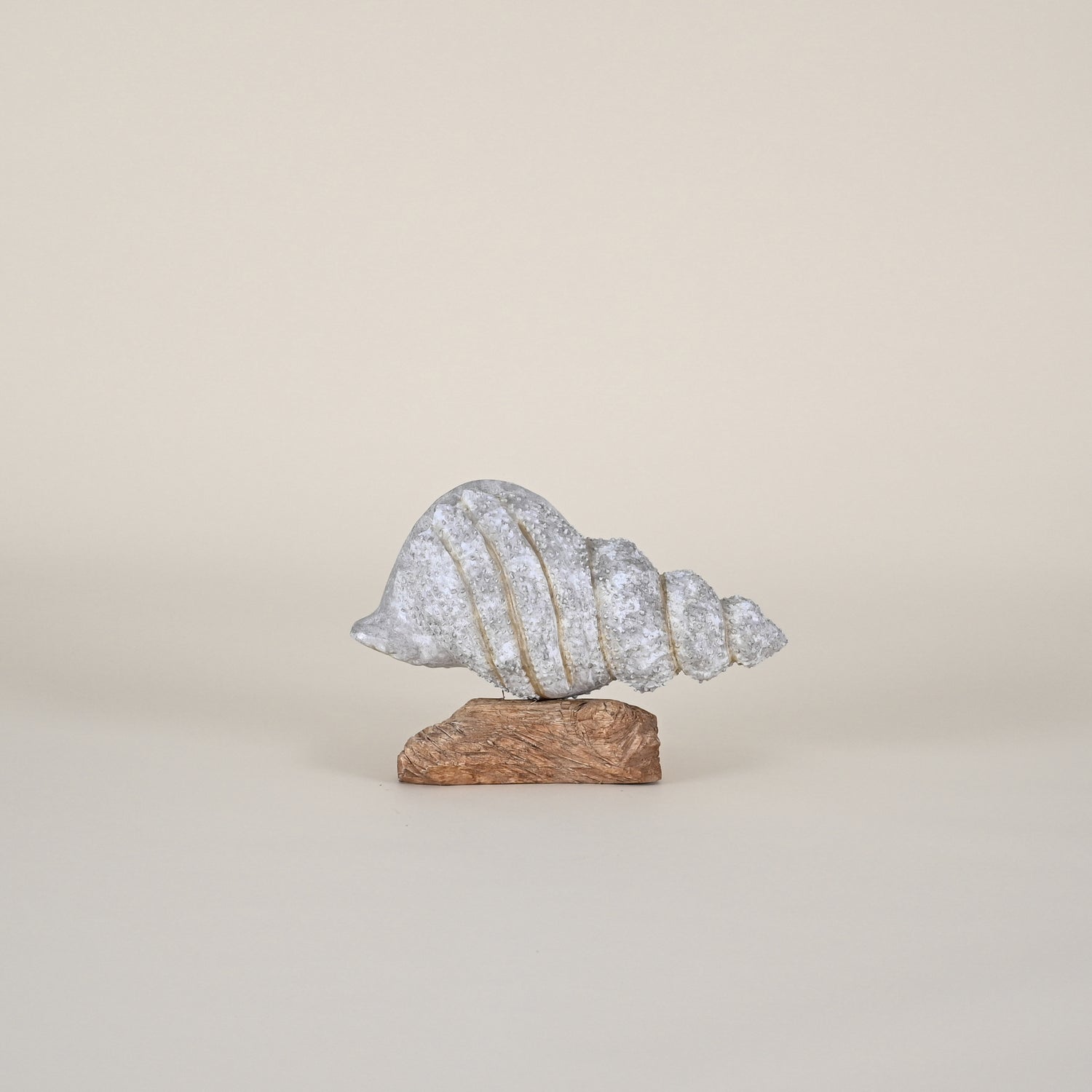 Blue Washed Wood Shell on Root Base