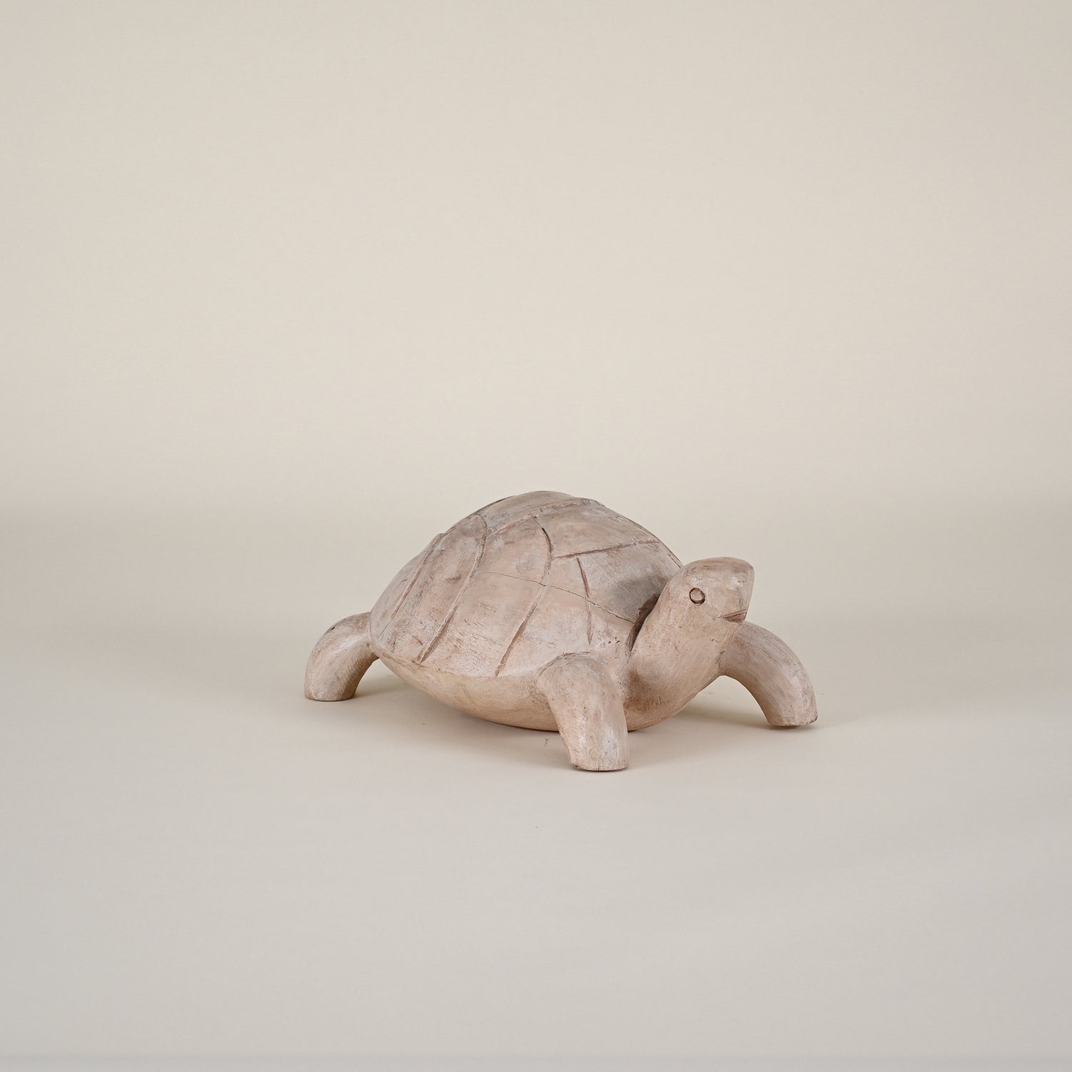 Wood Turtle Carving